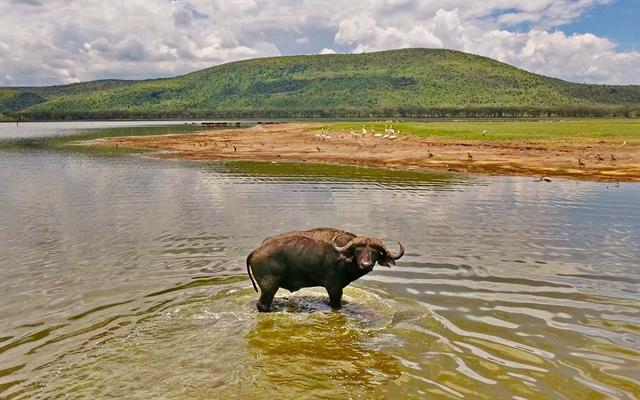 africa-e-oceano-indiano (26).jpg